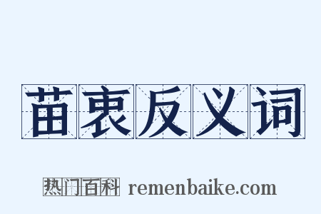 苗衷反义词是什么意思的图片